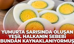 Yumurta sarısında oluşan yeşil halkanın sebebi buymuş