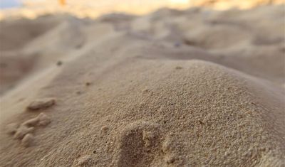 Kumun altından şehir çıktı