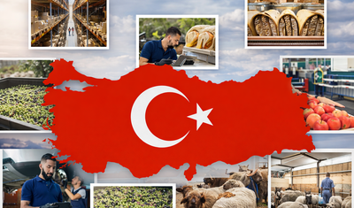 Türkiye'de 2026 için il il en iyi kazanç sağlayan meslekler! Hangi bölgede hangi meslek lider konumda?