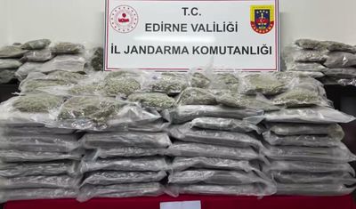 2 uyuşturucu operasyonu: 471 kilo skunk ele geçirildi