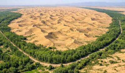 Çölü verimli buğday tarlasına dönüştürdüler ne var ki biçerler yetişemiyor