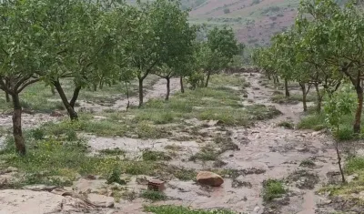Dolu yağışı tarım alanlarında zarar verdi!