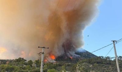 Muğla'da orman yangını!