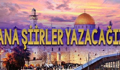 Sana Şiirler Yazacağız