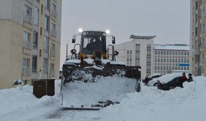 Karla mücadele çalışması başlatıldı