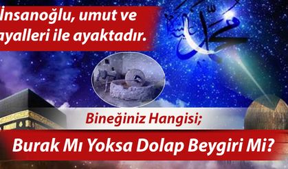 Bineğiniz Hangisi; Burak Mı Yoksa Dolap Beygiri Mi?