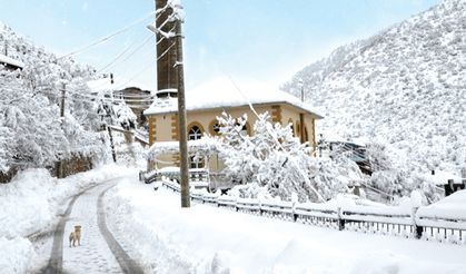 Bir Camiye Sığınmak