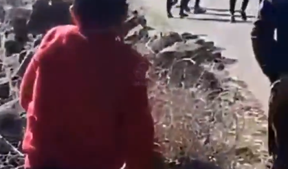 İşgal askerleri Suriye'de göstericilere ateş açtı