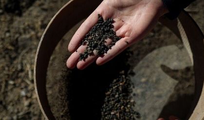 Höyükte yapılan kazılarda 5 bin yıllık arpa taneleri bulundu