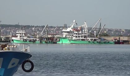 Hamsi soğuk denizlere kaçtı, fiyatlar yükseldi