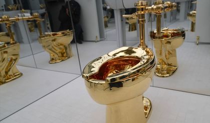 Sanat diye klozeti satışa çıkardılar!