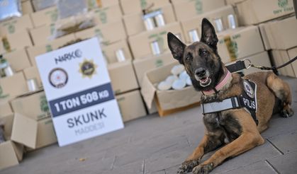 Derince limanında 1,5 Ton uyuşturucu ele geçirildi