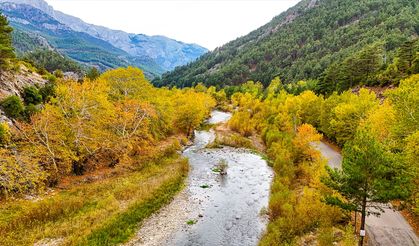 Adana'daki Belemedik Tabiat Parkı ve çevresinde sonbahar şenliği