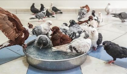 Gusül abdesti nasıl alınır? Hanefilere ve Şafiilere göre ayrı ayrı