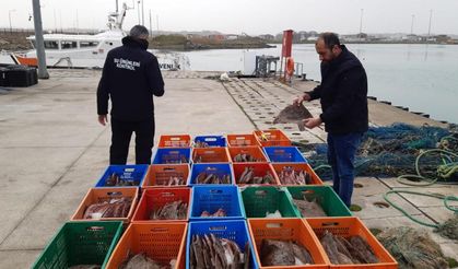 Kaçak avlanan 850 kilo kalkan balığına el konuldu!