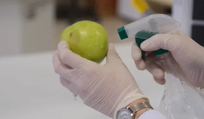 Meyve Muhafazasında "Doğal Yağ" Alternatifi!