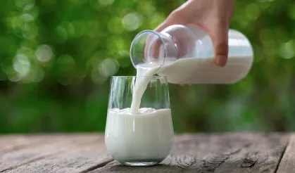 En sağlıklı süt belli oldu! Ne inek ne de koyun sütü...
