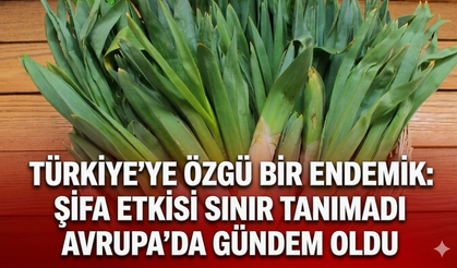 Türkiye'ye özgü bir endemik: Şifa etkisi sınır tanımadı Avrupa'da gündem oldu