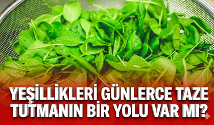 Yeşillikleri günlerce taze tutmanın bir yolu var mı?