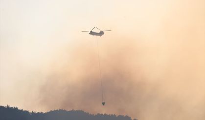 Fransa'da yılın başından bu yana binlerce orman yangını çıktı