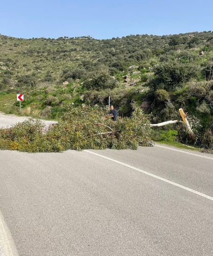 Muğla’da kuvvetli fırtına hayatı olumsuz etkiledi!