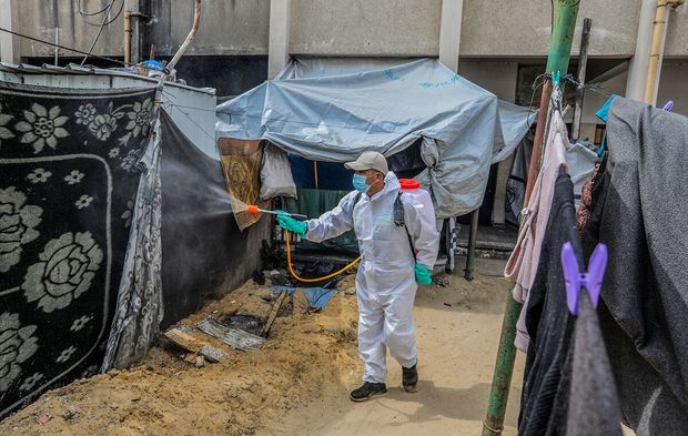 Gazze'de insanlara ciddi zararlar vermeye başlayan haşere ve farelere karşı ilaçlama başlatıldı