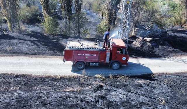 Çorum'da 1000 dekar ağaçlık alan zarar gördü