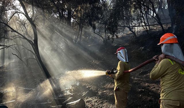 Muğla'daki orman yangını söndürüldü