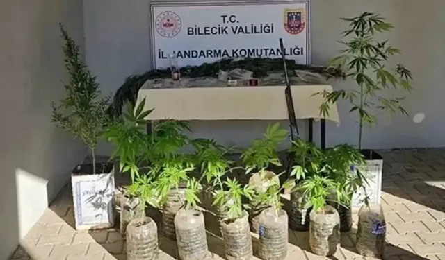 Bilecik'te uyuşturucu operasyonu