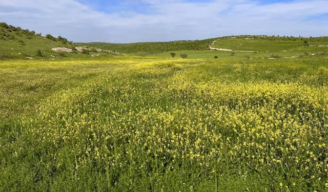 Çiftçi Kayıt Sistemi başvuruları için dikkat!