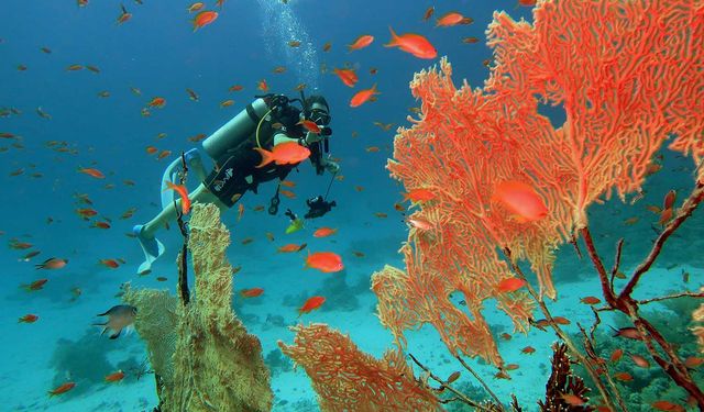 Kızıldeniz, sırlarını ortaya döküyor