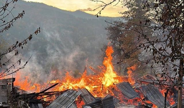 Ahşap evde çıkan yangında 5 kişi dumandan etkilendi