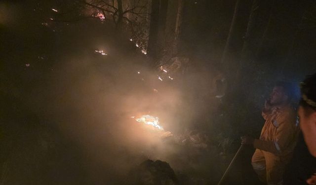 Hatay'da ormanlık alanda yangın çıktı