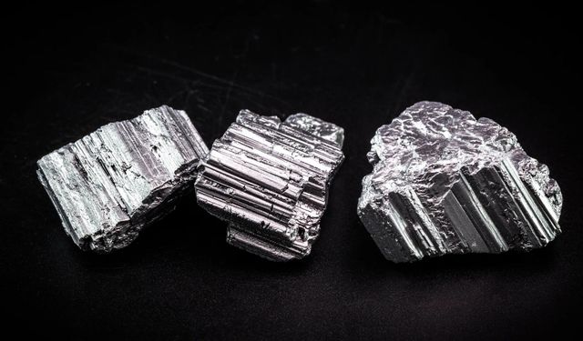 Her yerde yetişiyor.. Nadir toprak elementlerini biriktiren ot