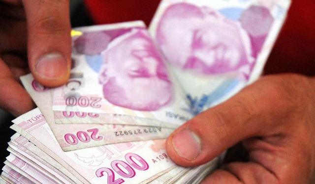 Saatte 13 bin, yıllık 16 milyon TL kazanılan meslek