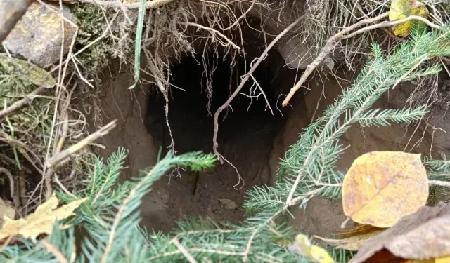 İki ülke arasına tünel kazıldı: Tünellerden geçiş yapıyorlar