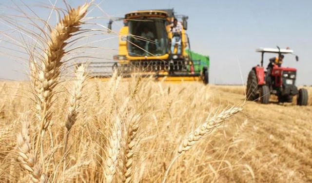 Güneydoğu hububat sektöründe yine lider!