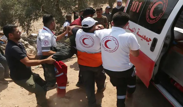 Günlük elektrik üretim ve tüketim verileri