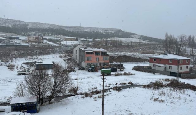 Kars ve Ardahan'da kar yağışı etkili oluyor