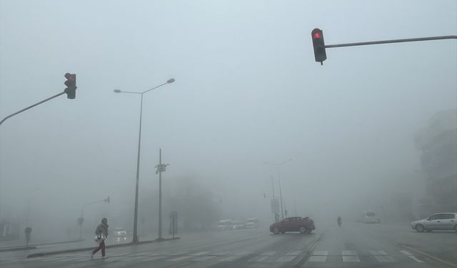 Denizli'de sis ulaşımı etkiledi