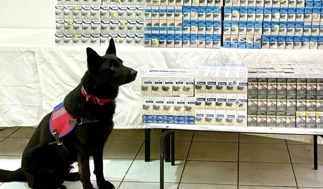 Van'da gümrük kaçağı sigara ele geçirildi