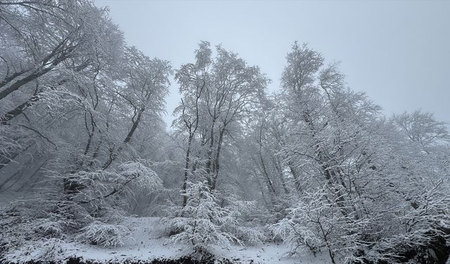 Tokat'ın yüksek kesimleri beyaza büründü