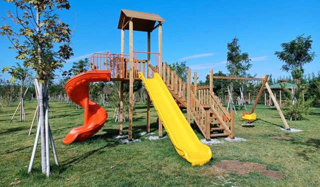 Nüfusu artırmak için ücretsiz doğum hamlesi: Masraflar devletten