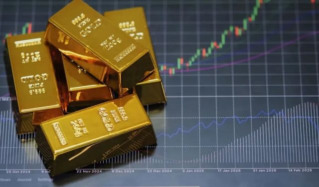 Altın rekor kırdıktan sonra sınırlı bir düşüş sergiledi