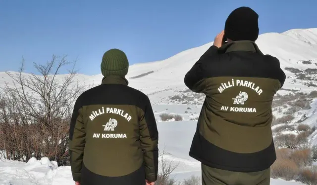 Hakkâri’de yasa dışı avcılığa unutulmaz para cezası!