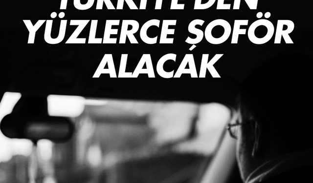 Avrupa ülkesi Türkiye'den yüzlerce  şoför alacak: İşte yıllık maaş