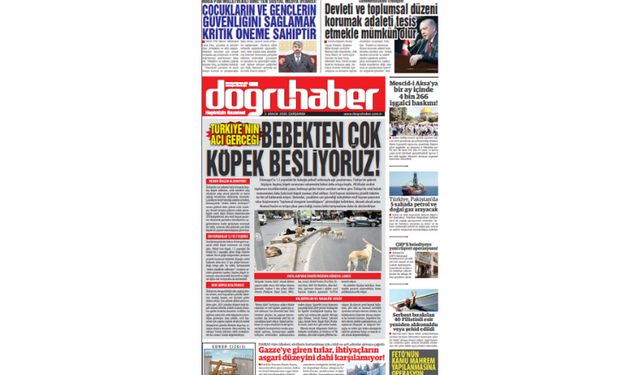 Türkiye’nin Acı Gerçeği: Bebekten Çok Köpek Besliyoruz!