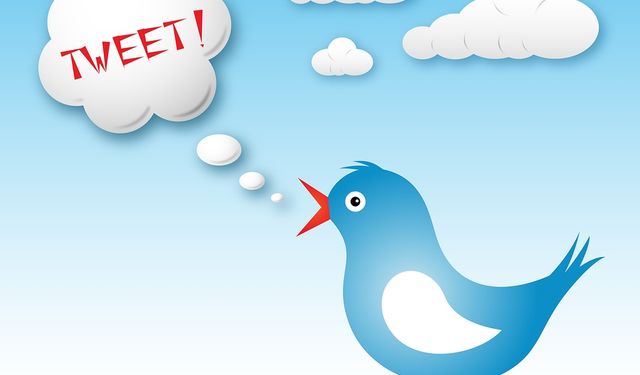 Mavi kuş operasyonu başlıyor