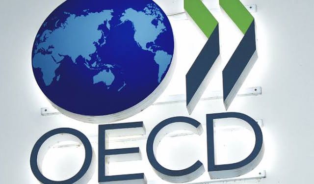 OECD Türkiye için büyüme tahminini yükseltti