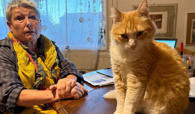 Komşusunu rahatsız ediyor diye kediye ceza verildi!